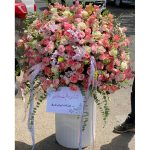 باکس 100 شاخه
