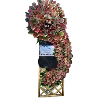 تاج کل پنجره ای