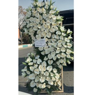 آنتریوم