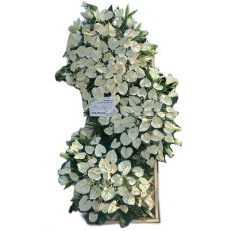 خرید تاج گل آنتریوم
