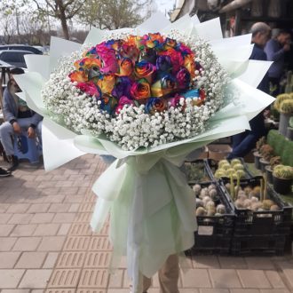خرید رز هلندی