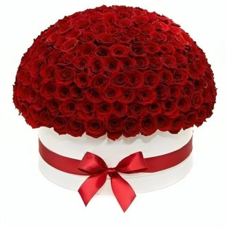 باکس گرد 100 شاخه رز هلندی